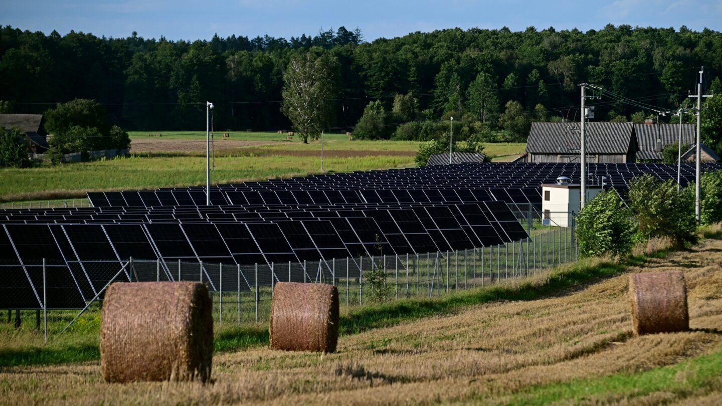 Farma fotowoltaiczna na polu we wsi Zalesie. Fot. PAP/Michał Zieliński
