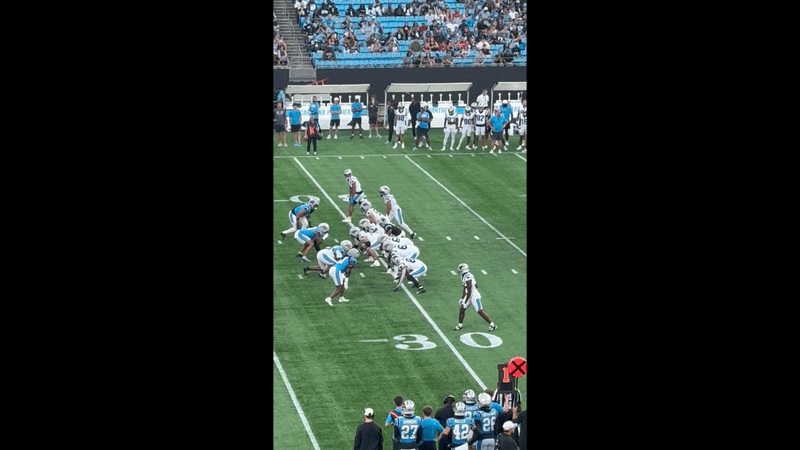 Sparing Carolina Panthers z NFL