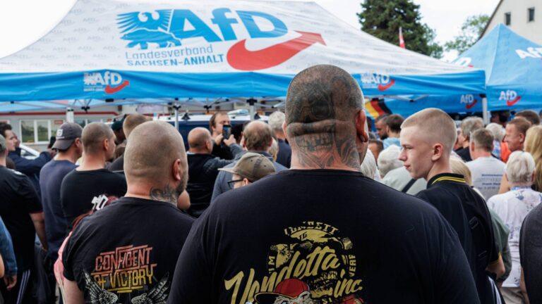Zwolennicy AfD