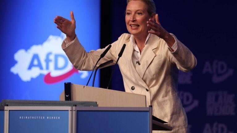 Liderka AfD Alice Weidel