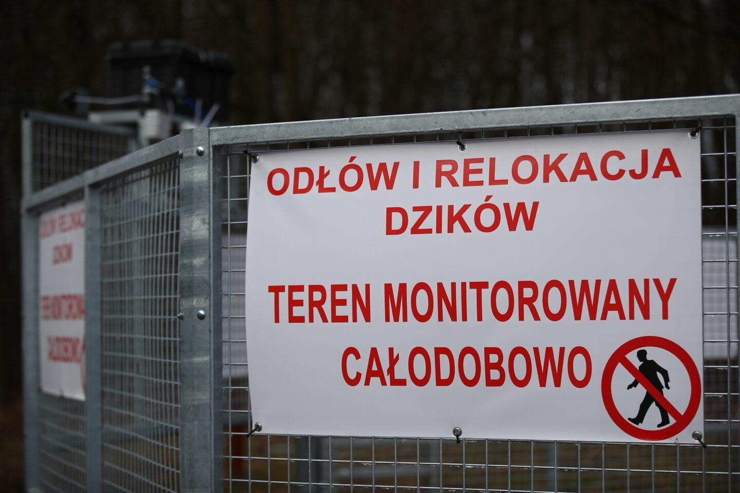 odłownia dla dzików